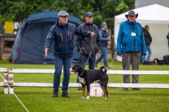 NVAEGZ_web-5993