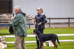 NVAEGZ_web-6018