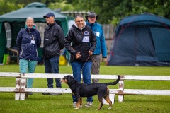 NVAEGZ_web-6034