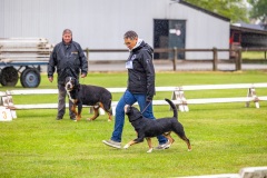 NVAEGZ_web-6038