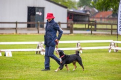 NVAEGZ_web-6044