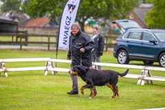 NVAEGZ_web-6049