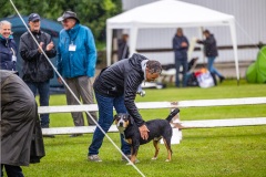 NVAEGZ_web-6068