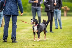 NVAEGZ_web-4691