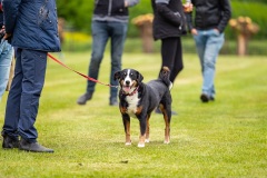 NVAEGZ_web-4692