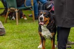 NVAEGZ_web-4792