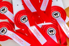 NVAEGZ_web-4798