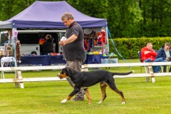 NVAEGZ_web-4807