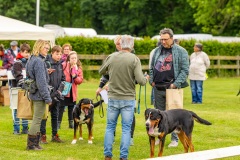 NVAEGZ_web-4812