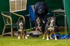 NVAEGZ_web-4816