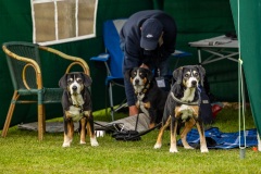 NVAEGZ_web-4817