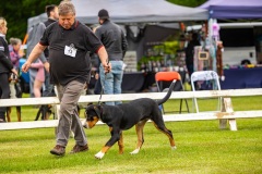 NVAEGZ_web-4822