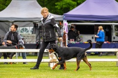 NVAEGZ_web-4831