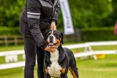 NVAEGZ_web-4834