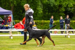 NVAEGZ_web-4844