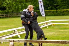 NVAEGZ_web-4866