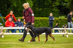 NVAEGZ_web-4874
