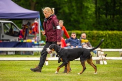 NVAEGZ_web-4875