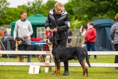 NVAEGZ_web-4883