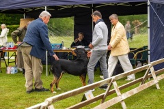 NVAEGZ_web-4894