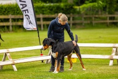NVAEGZ_web-4906