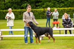 NVAEGZ_web-4907