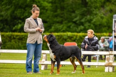 NVAEGZ_web-4909