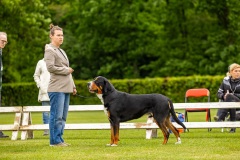 NVAEGZ_web-4912