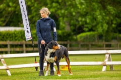 NVAEGZ_web-4913
