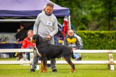 NVAEGZ_web-4915