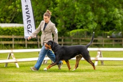 NVAEGZ_web-4918