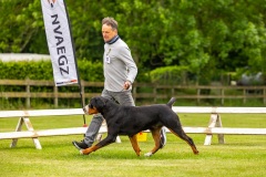NVAEGZ_web-4919