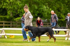 NVAEGZ_web-4920