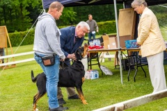 NVAEGZ_web-4921