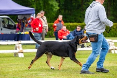 NVAEGZ_web-4943