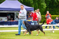 NVAEGZ_web-4946