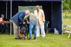 NVAEGZ_web-4949