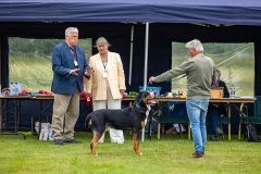 NVAEGZ_web-4954