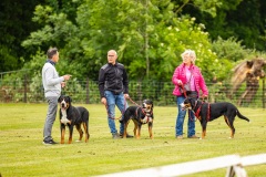 NVAEGZ_web-4964