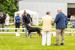 NVAEGZ_web-4974
