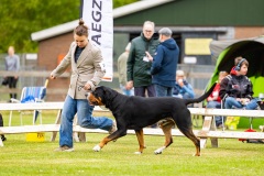 NVAEGZ_web-5022
