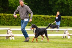 NVAEGZ_web-5039