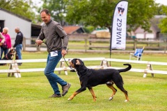 NVAEGZ_web-5058