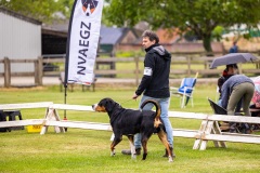 NVAEGZ_web-5062