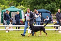NVAEGZ_web-5066