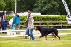 NVAEGZ_web-5086