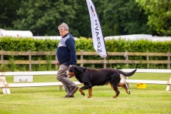 NVAEGZ_web-5087