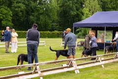 NVAEGZ_web-5112