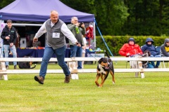 NVAEGZ_web-5118