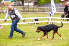 NVAEGZ_web-5138